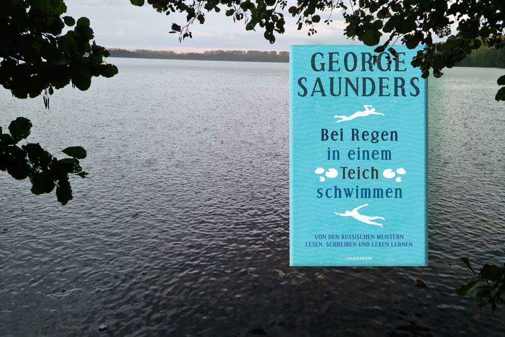 Saunders Bei Regen in einem Teich schwimmen Peter liest